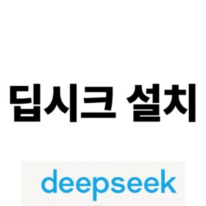 딥시크설치